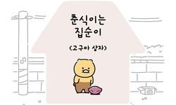 11화 고구마 상자