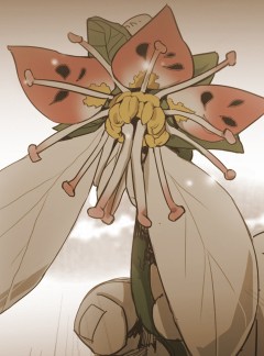 84화 외전2(희노애락)_범의귀1