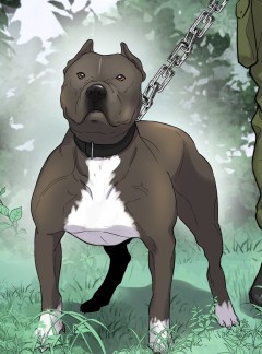 44화, 지하의 요성, 그리고 불박쥐 (2)