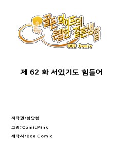 골든와이프의 은밀한 결혼생활: 62화